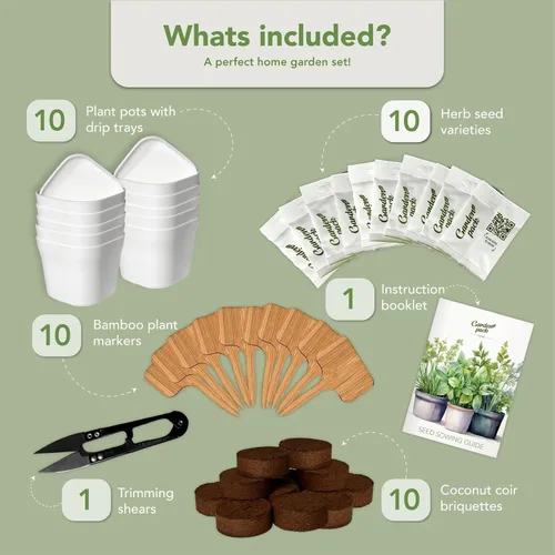 Miniatura 2 de Garden Pack Jardín de hierbas para ventana interior de 10 hierbas, incluye macetas, bandejas y tierra comprimida para un fácil cultivo de hierbas