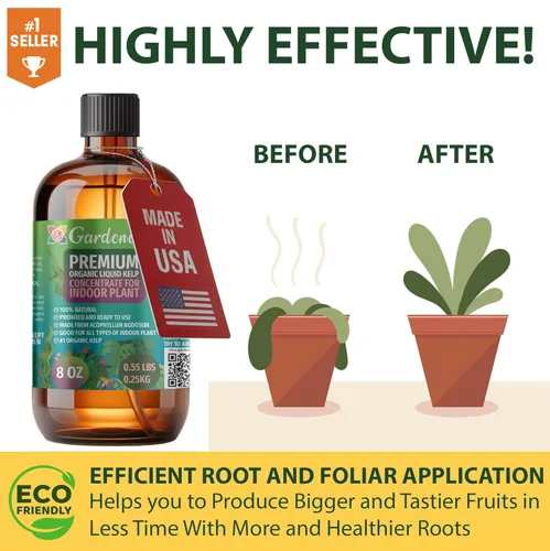 Miniatura 3 de GARDENERA Superalimento orgánico prémium de algas marinas y algas marinas para plantas AGLAONEMA, 8 onzas, concentrado de fertilizante líquido