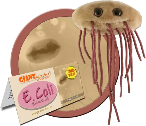 Miniatura 2 de Giant Microbes peluche de tejido suave en forma de E. Coli (escherichia Coli)