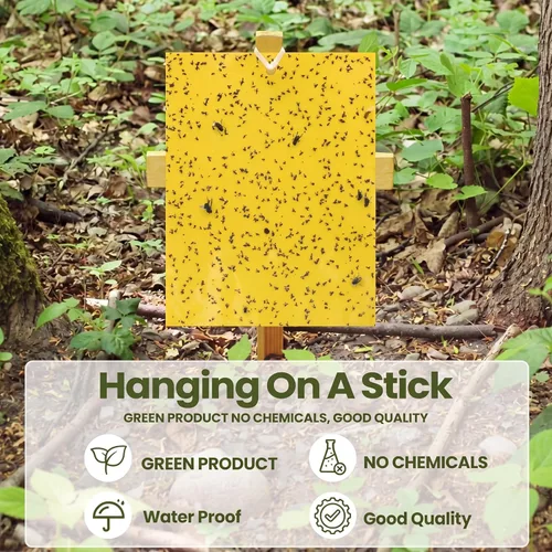Miniatura 6 de Qualirey 50 trampas adhesivas amarillas de 6 x 8 pulgadas para mosquitos de doble cara para moscas de la fruta para plantas de interior y exterior