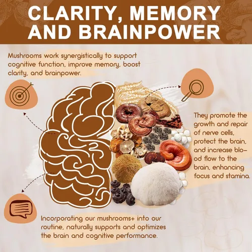 Miniatura 3 de NATURE TARGET Suplemento de hongos, complejo de hongos con melena de león, cola de pavo, reishi, cordyceps, shiitake, hongos 14 en 1 para memoria