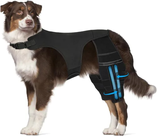 Miniatura 10 de Rodillera para perro para pierna trasera desgarrada, 4 estabilizadores, soporte de cadera ajustable para reducir el dolor, lesiones de ligamentos