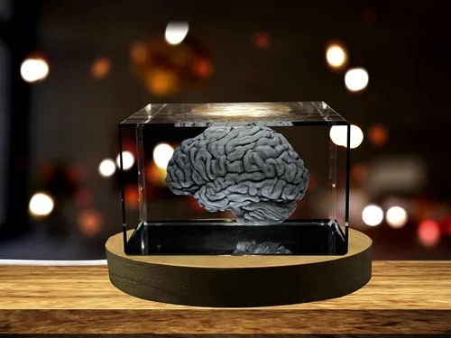 Miniatura 19 de Regalo para médicos 3D grabado en cristal recuerdo/regalo/decoración/(pequeño (3 x 2 x 2 pulgadas), arterias)