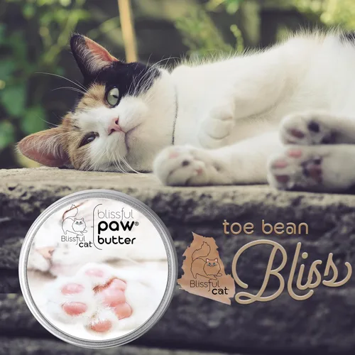 Miniatura 8 de The Blissful Cat Paw Butter, hidratante para almohadillas secas para patas, suaviza y protege una pata áspera, versátil bálsamo para patas de gato