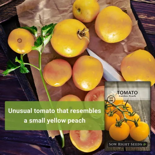Miniatura 3 de Sow Right Seeds - Semillas de tomate melocotón de jardín para plantar - Paquete de reliquia sin OMG con instrucciones para cultivar un huerto