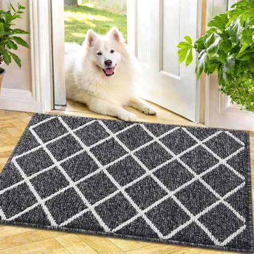 Miniatura 46 de Finchitty Alfombra para Puerta Interior, Resistente a la Suciedad y Absorbente, de Perfil Bajo, Antideslizante, Lavable, Alfombras de Piso