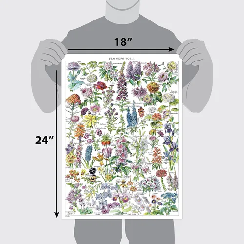 Miniatura 2 de Paquete de 4 pósteres vintage de flores y hongos - Cuadros de referencia de identificación botánica floral y micología y hongos Volumen 1 y 2