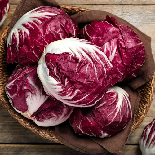 Miniatura 3 de Eden Brothers Semillas de Endive (Escarole) - Batavian Broadleaf