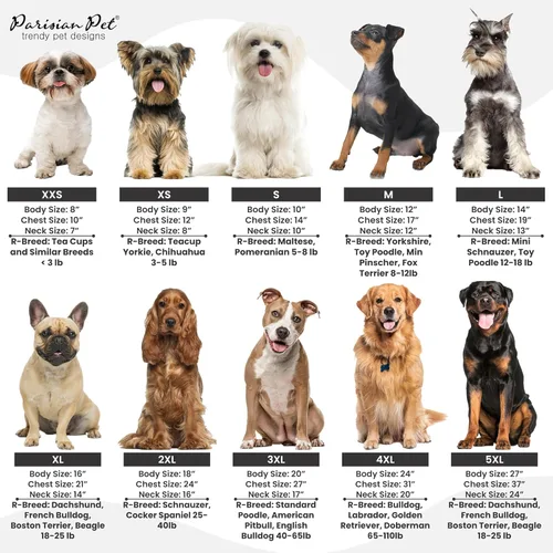 Miniatura 7 de Camiseta para perro Parisian Pet con palabra "Security" bordada Camiseta sin mangas para perros - 100% algodón, transpirable Camiseta de seguridad