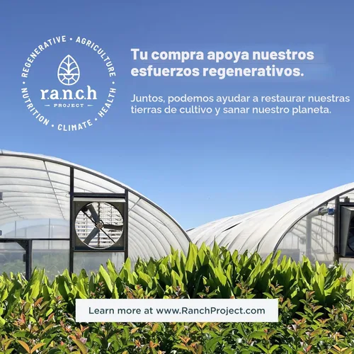 Miniatura 8 de Ancient Nutrition Proteína de colágeno en polvo, proteína de colágeno múltiple, péptidos de colágeno hidrolizados que apoyan la piel y las uñas