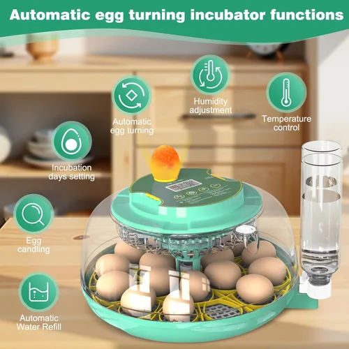 Miniatura 2 de Incubadora de 18 huevos con giro automático de huevos y control de humedad, incubadora de huevos de pollo, incubadora de vista grande para huevos