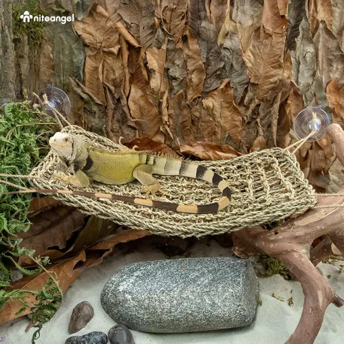 Miniatura 5 de Niteangel Hamaca de Dragón Barbudo Tumbona de Reptiles para Camaleón, Lagartos, Gecko, Serpientes, Reptiles Iguana, Tortugas (Rectángulo 16'' x 8'')