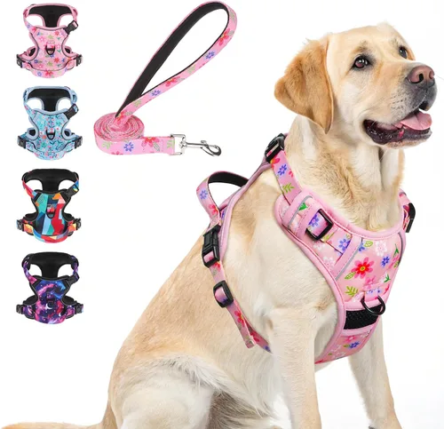 Miniatura 14 de BEAUTYZOO Arnés para perro sin tirones pequeño, juego de arnés y correa ajustable para perro - Fácil de usar con 3 hebillas/mango de control, arnés