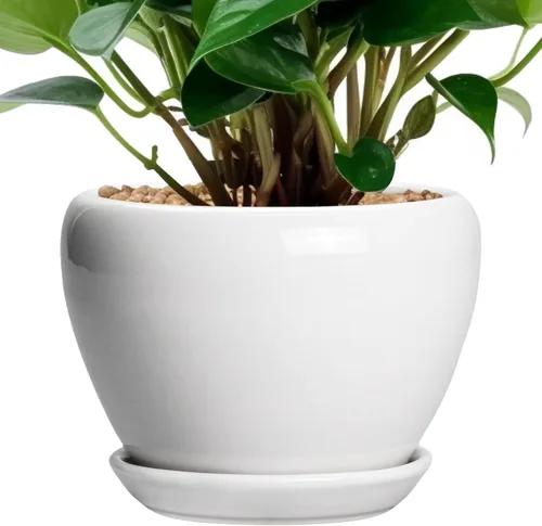 Miniatura 33 de Maceta de Cerámica Moderna con Esmalte para Suculentas con Agujero de Drenaje y Platillo, Maceta Redonda de 6 Pulgadas para Plantas de Flores