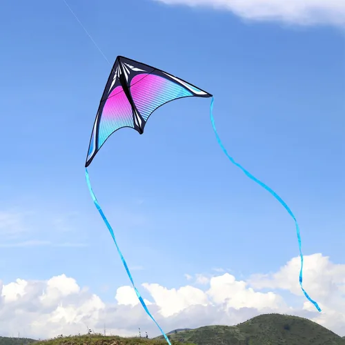 Miniatura 5 de Cometas Delta de playa grandes para adultos y niños de 4 a 8 años y 8 a 12 años, extremadamente fáciles de volar para principiantes