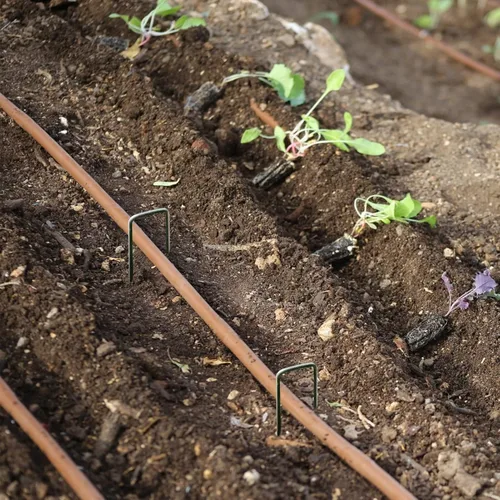 Miniatura 4 de Estribos de jardín, paquete de 100 clavijas de jardín de 6 pulgadas de acero inoxidable resistente en forma de U para anclar pasadores de césped