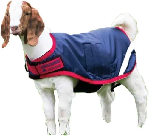 Miniatura 7 de Horseware® Chamarra de cabra (100g ligera)