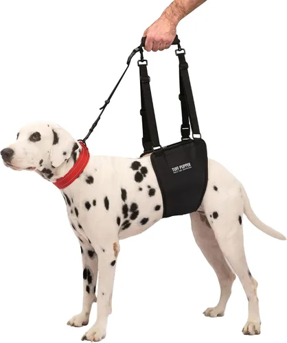 Miniatura 9 de Tuff Pupper Arnés de cadera para perros Soporte de elevación trasera para perros mayores y lesionados Ayuda de movilidad ajustable Mango