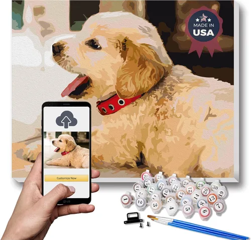 Miniatura 10 de Texture of Dreams Kit de pintura personalizada por números para adultos, pintura acrílica, pintura al óleo sobre lienzo enmarcado y estirado