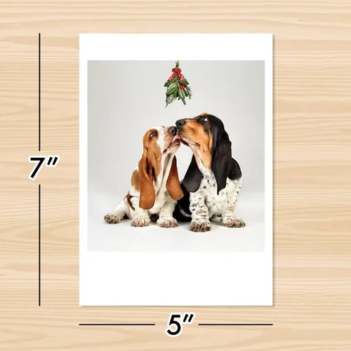 Miniatura 6 de Tarjetas fotográficas de Navidad, Basset Hounds bajo el muérdago (6 tarjetas con sobres blancos), perfectas para alguien especial