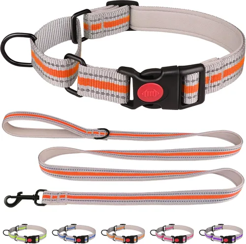 Miniatura 7 de Collar Martingala para perros, juego de collar y correa Martingala reflectante acolchado de neopreno suave con hebilla de seguridad, collar Azul