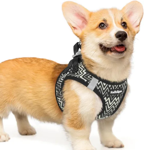 Miniatura 119 de rabbitgoo Arnés para perro pequeño, chaleco de malla suave para cachorros con hebilla de seguridad, arnés reflectante transpirable para mascotas