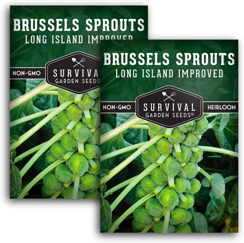 Survival Garden Seeds - Coles de Bruselas mejoradas de Long Island para plantar - 2 paquetes con instrucciones para plantar y cultivar deliciosos