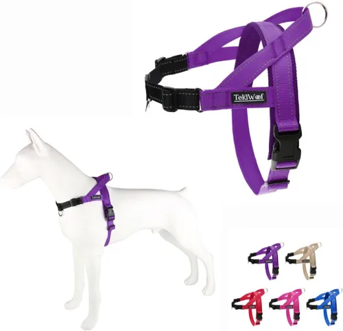 Miniatura 12 de Arnés para perro sin tirones con asa, clip trasero y delantero, ajustable, fácil de poner y quitar, reflectante, ligero y acolchado de malla, sin