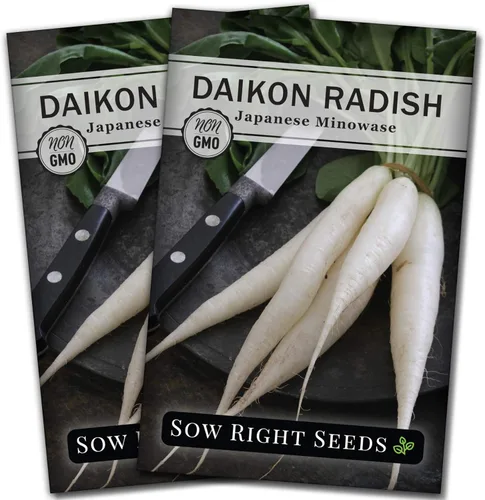 Sow Right Seeds - Semillas de rábano japonés Minowase Daikon para plantar - Paquete de reliquia sin OMG con instrucciones para plantar un huerto