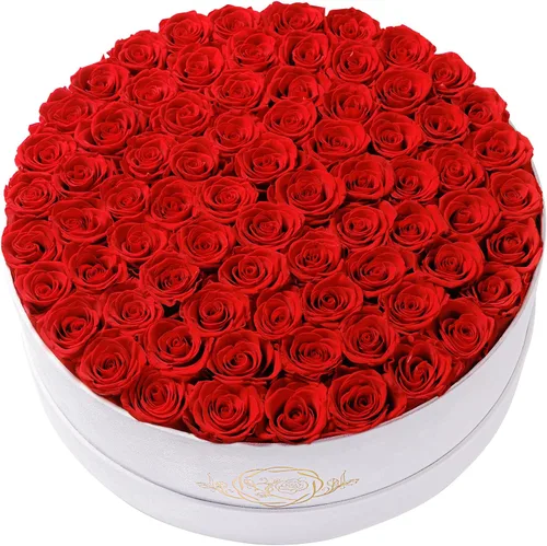Miniatura 22 de Prifroti 17 flores en una caja de gamuza de lujo, regalos de cumpleaños para mujeres, flores preservadas, regalo de rosas para el día de la madre