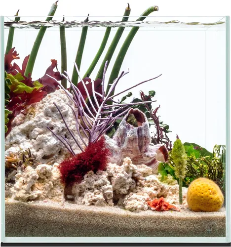 Miniatura 13 de UNS Acuario Ultra Claro Sin Borde - 25.6GAL 97.2L - 23.62x14.17x17.71 60x36x45 CM, Grosor de Vidrio de 6mm, Incluye Alfombrilla Nivelante