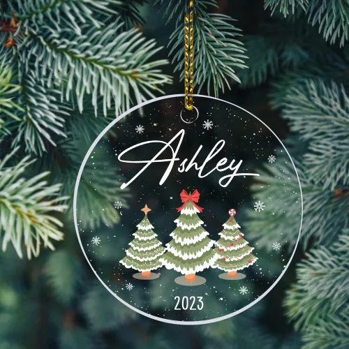 Miniatura 13 de Adornos personalizados de primera Navidad para bebés 2023, adorno del desierto de cactus, adorno de la primera Navidad del bebé, adornos Bebé 16