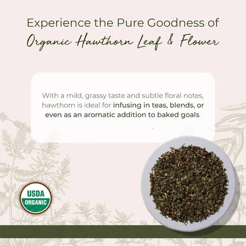 Miniatura 2 de Starwest Botanicals Hojas y flores de espino orgánico – Hierba seca de hojas sueltas para té, cortadas y tamizadas, certificado Kosher, sin OMG