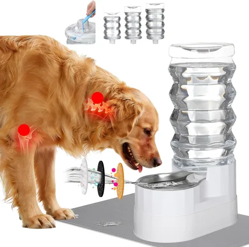 RIZZARI Dispensador de agua grande para perros: dispensador de mascotas elevado automático de gravedad de acero inoxidable de 9L con cepillo Blanco