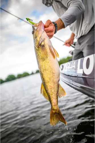Miniatura 6 de ¡Berkley Gulp! Cebo suave de pesca de pececillos vivos