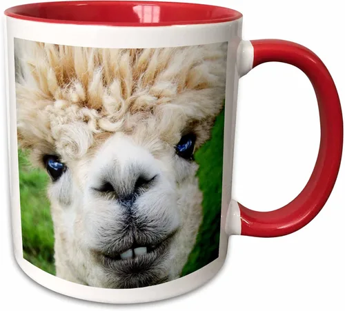 Miniatura 8 de 3dRose Alpaca. Lama. South America. White. 11oz Two-Tone Black Mug