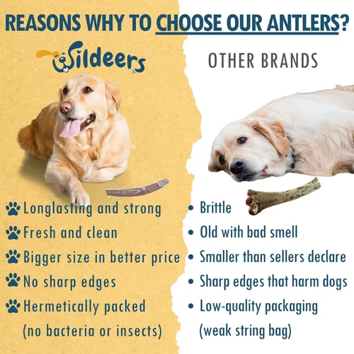 Miniatura 6 de Wildeers Cuernos divididos para perros medianos, paquete de 2, fabricados en Estados Unidos, cuernos de alce de grado A, huesos masticables