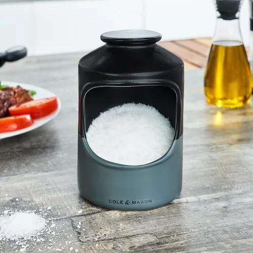 Miniatura 2 de Cole & Mason Strethall Cerdo de sal de cerámica – Soporte de sal de boca abierta para encimera de cocina – esencial absorbente de humedad