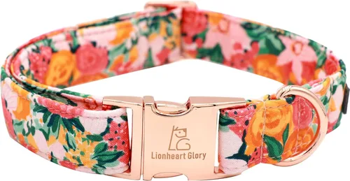 Miniatura 16 de Lionheart glory Collar de perro, Collar de perro azul Collar de perro para niños Collar ajustable de dinosaurio para perros pequeños Regalo