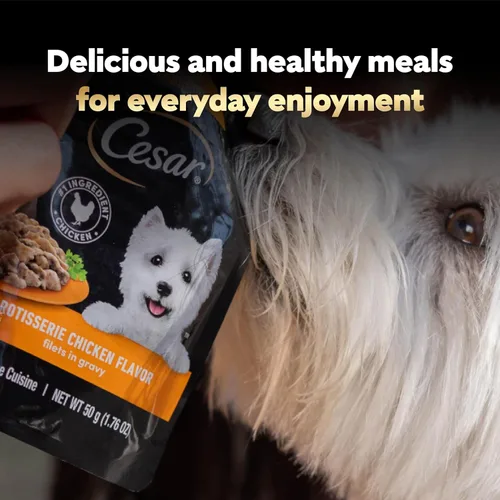 Miniatura 8 de Cesar Filets en Salsa Comida Húmeda para Perros Sabor Pollo Asado, Sabor Filete Mignon y Pollo a la Parrilla Variedades, Comida Húmeda para Perros