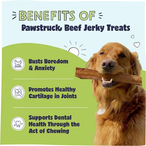 Miniatura 2 de Pawstruck Masticables de carne seca de res prémium para perros, tiras grandes de 10 pulgadas – Apoya la salud de la cadera y las articulaciones