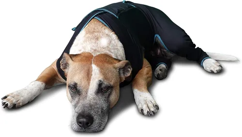 Miniatura 6 de BENEFAB Traje terapéutico cómodo para perros — Chaqueta ligera de infrarrojo lejano para caninos de todas las edades — Traje de compresión relajante