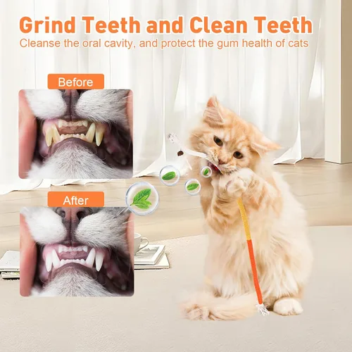 Miniatura 5 de TEAWOO Juguetes para gatos, 3 piezas con hierba gatera natural, juguete de limpieza de dientes seguro para gatitos de interior, juguetes