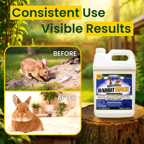 Miniatura 7 de Nature’s MACE Rabbit Mace, repelente de conejos para exteriores, 1 galón de concentrado, cubre 2 acres, aerosol disuasorio de conejos para césped