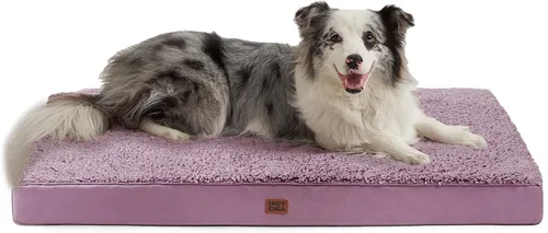 Miniatura 31 de EHEYCIGA Cama ortopédica de espuma para perros grandes, 35 pulgadas de largo x 23 pulgadas de ancho x 3.5 pulgadas de alto, gris claro