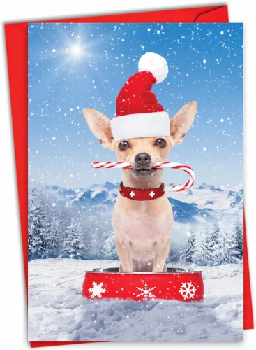 The Best Card Company - Tarjeta de felicitación de Feliz Navidad con sobre (4.63 x 6.75 pulgadas) - Canine Antics C3194GXSG