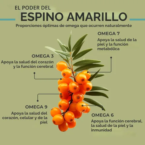Miniatura 4 de SEABUCKWONDERS Aceite orgánico de espino amarillo omega-7 completo, 120 cápsulas blandas, suministro para 60 días, con Omega 3, 6 y 9, soporta