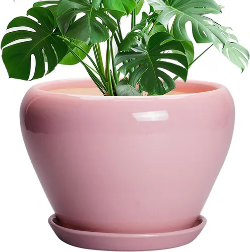 Miniatura 83 de Maceta de Cerámica Moderna con Esmalte para Suculentas con Agujero de Drenaje y Platillo, Maceta Redonda de 6 Pulgadas para Plantas de Flores