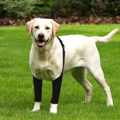 Miniatura 5 de Traje de recuperación para perros para piernas delanteras, mangas de recuperación para perros después de una cirugía con banda elástica, coderas