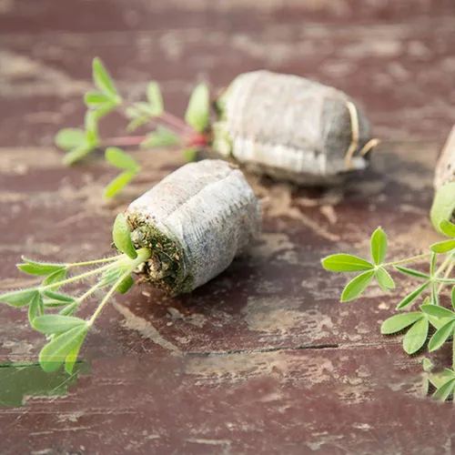 Miniatura 6 de Tlswshsy Bloque de suelo de plántulas de palets de turba de 1.181 in, 120 unidades, tapones de arranque de plantas, trasplante de cultivo
